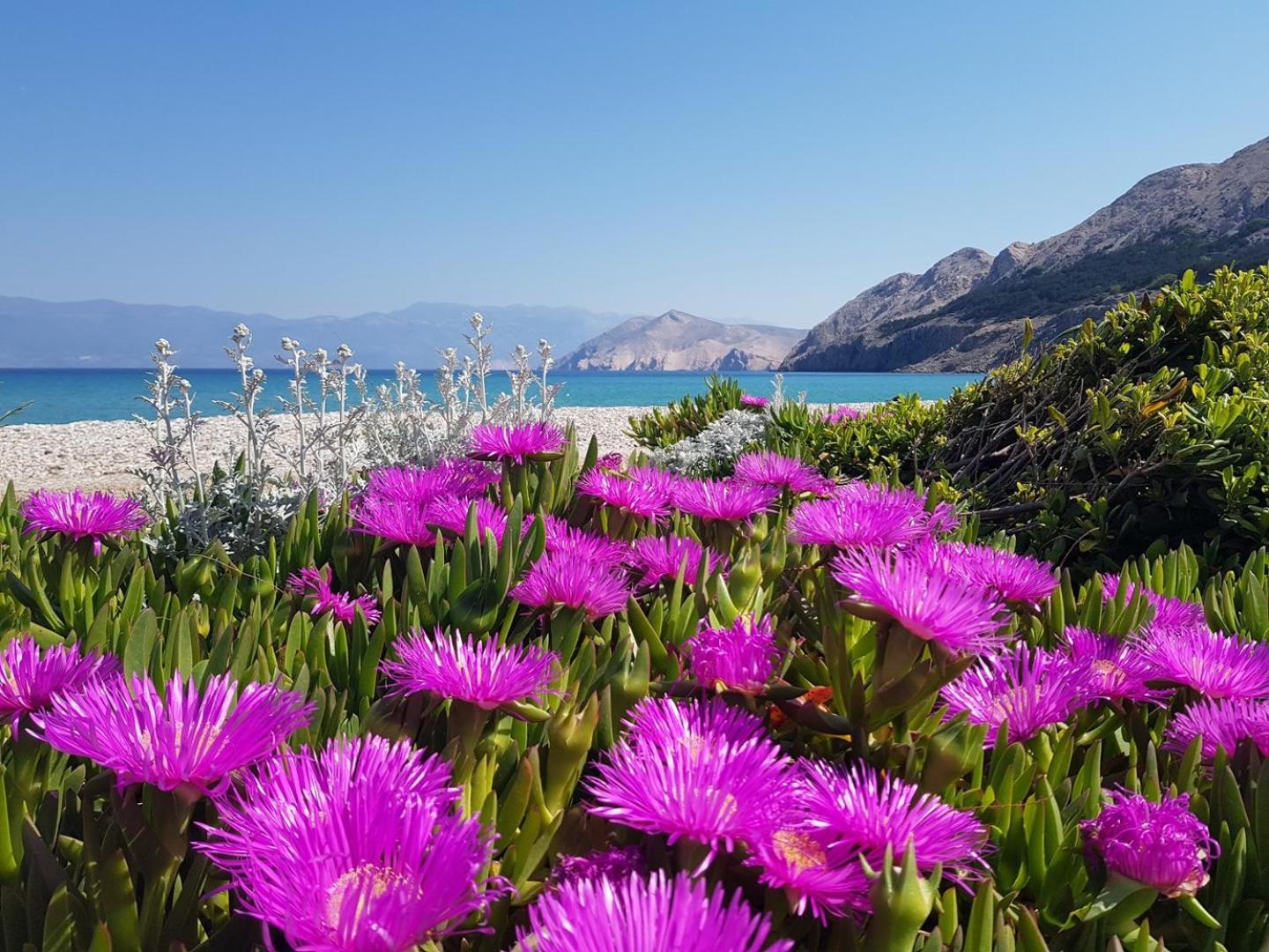 Apartments Kucar Baška Exteriér fotografie